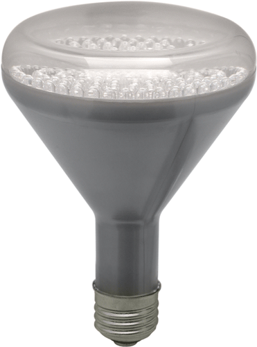 LED Bulbs, R30, R30 LED Bulb, LED R30 bulb, LED R30 lamp, 5mm LED R30 bulb